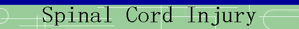 Spinal Cord Injury