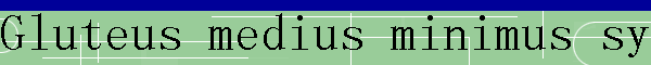 Gluteus medius minimus syndrome