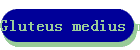 Gluteus medius minimus syndrome