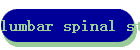 lumbar spinal stenosis.htm