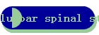 lumbar spinal stenosis.htm