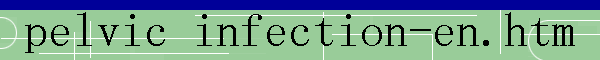 pelvic infection-en.htm